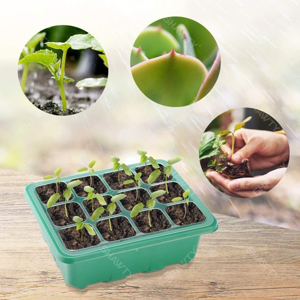 SHAWTY S0022 10×12-Hole Seedling Trays Greenhouse: Lid + Labels, Garden Growing Tools