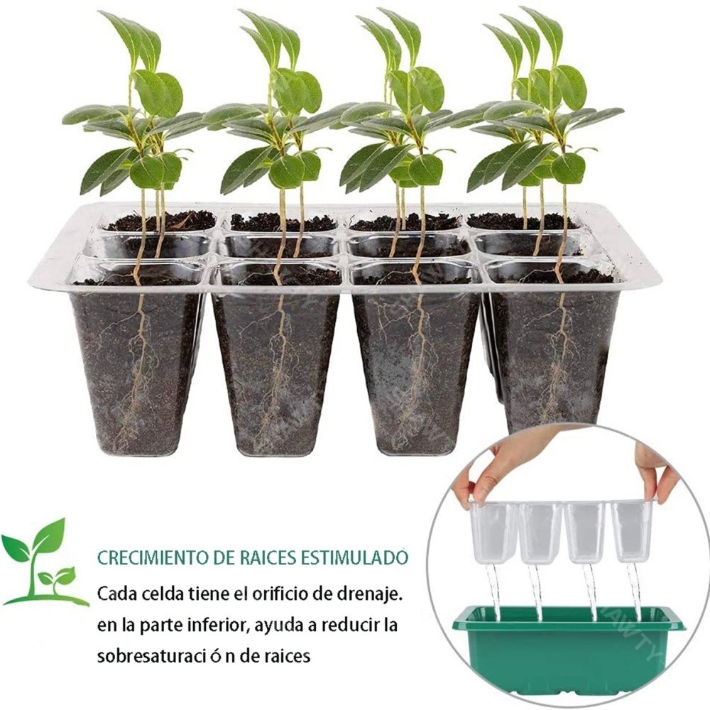 SHAWTY S0022 10×12-Hole Seedling Trays Greenhouse: Lid + Labels, Garden Growing Tools